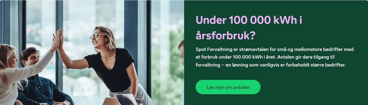 Spot Forvaltning for bedrifter med under 100 000 kWh årsforbruk