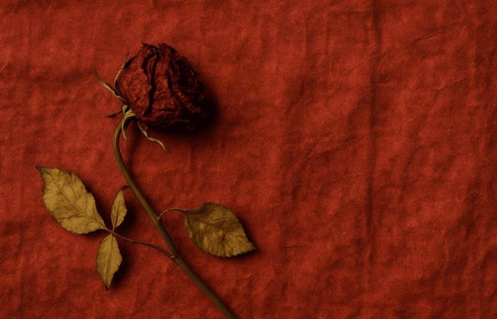 KI-generert. ChatGPT