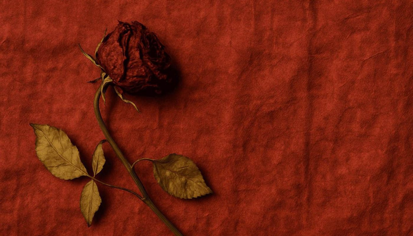 KI-generert. ChatGPT