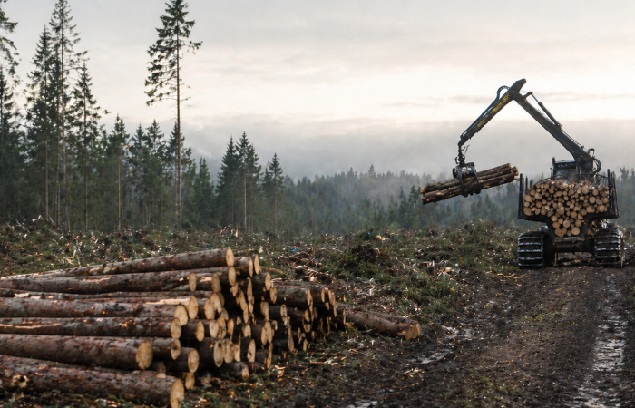 KI-generert. ChatGPT.