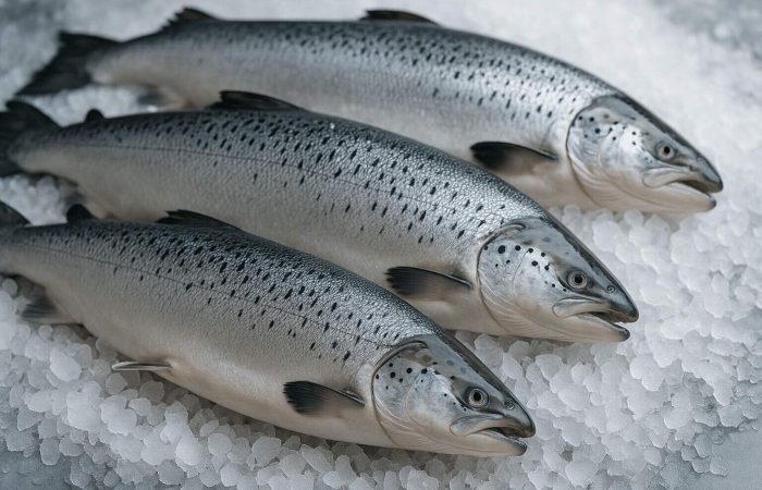 KI-generert. ChatGPT