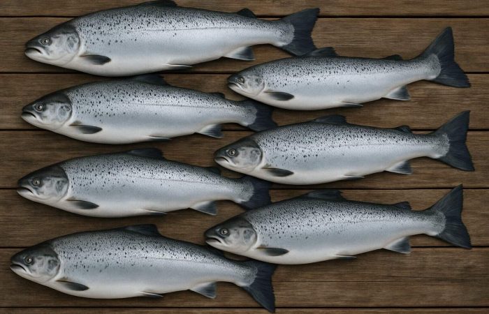 KI-generert. ChatGPT