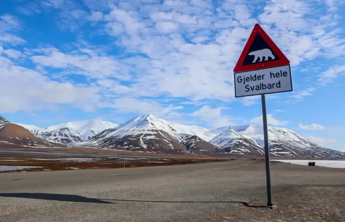 Polar_bear_sign_HGR_162997_Eveline__Lunde