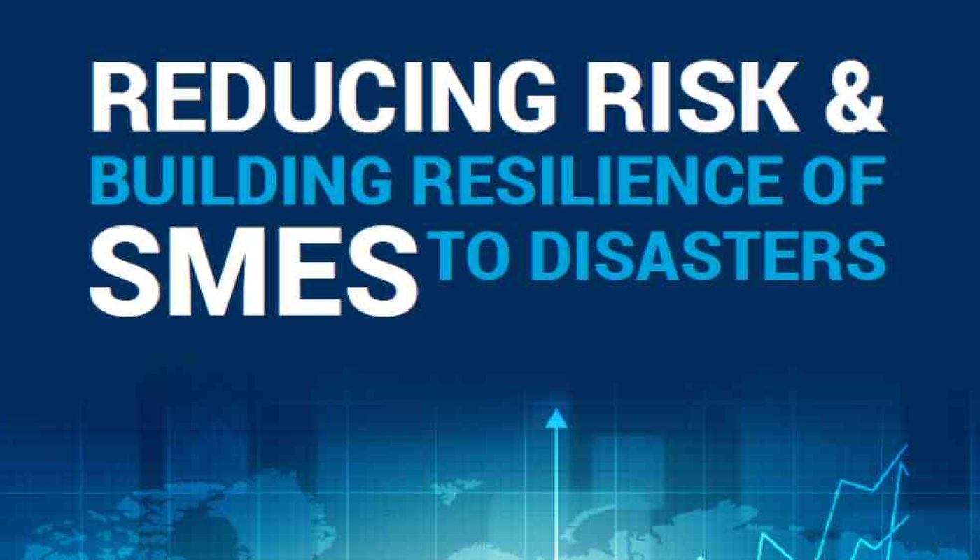 Resilience of SMEs cover.png