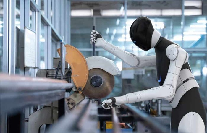 The International Federation of Robotics