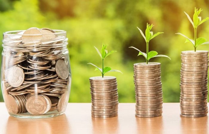 Hva er en krone verdt