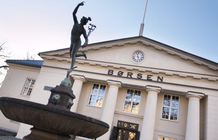 Børge Sandnes/dinbedrift