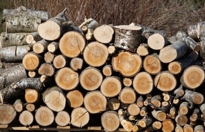 Børge Sandnes/dinbedrift.no