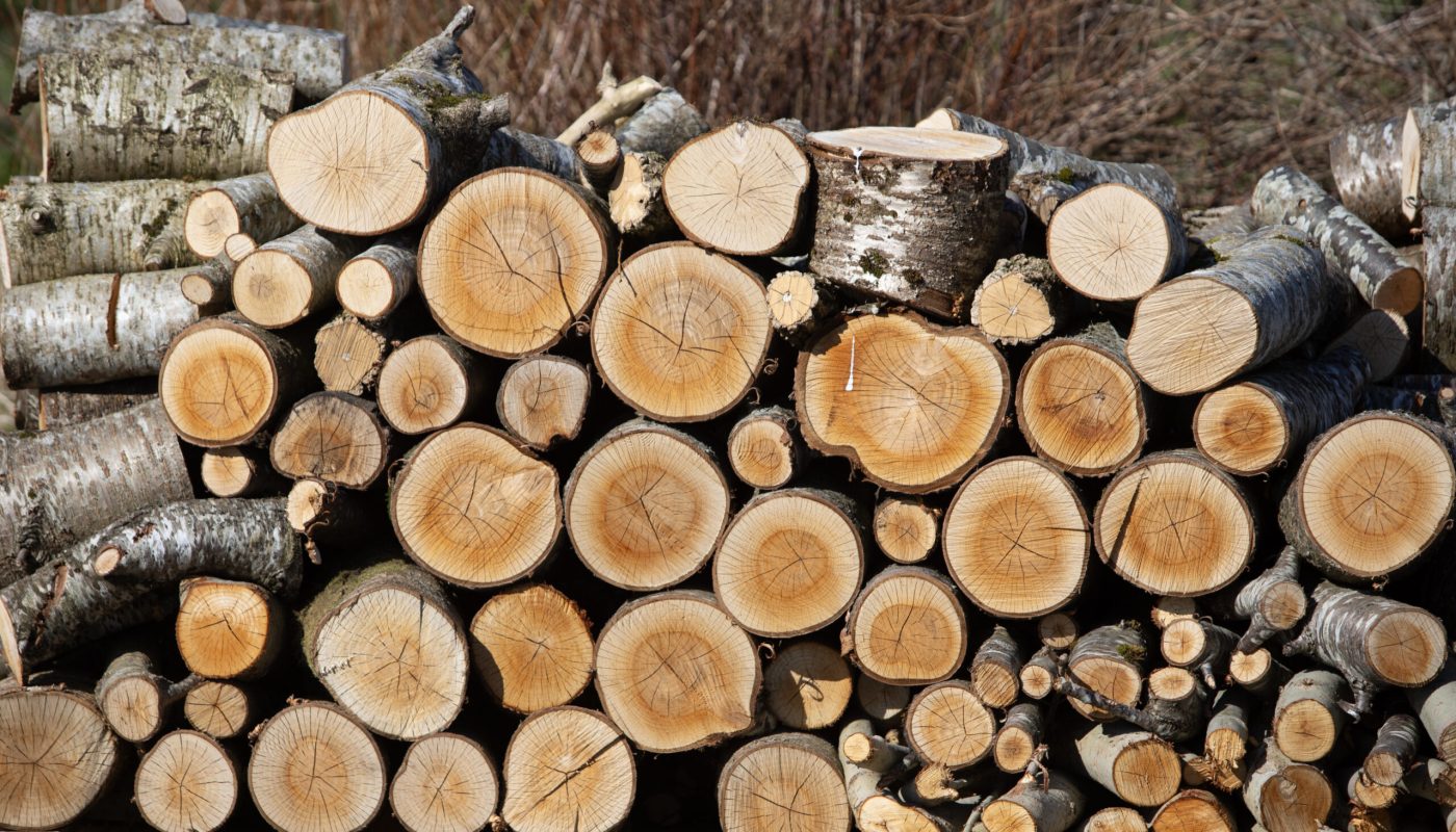 Børge Sandnes/dinbedrift.no