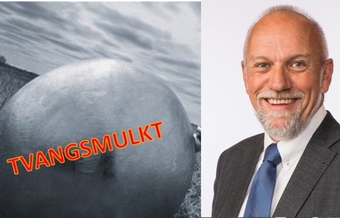 Foto: Stortinget