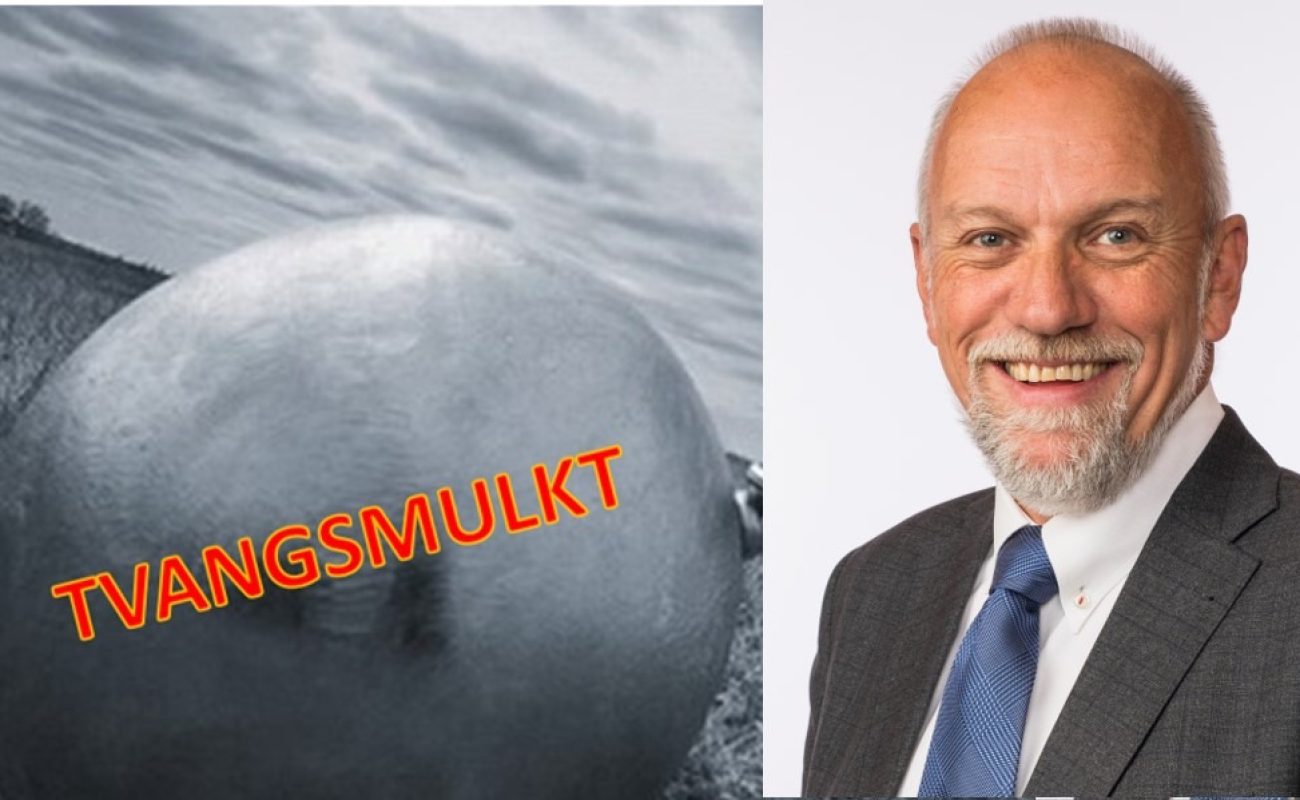 Foto: Stortinget